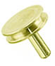 SEM pin stub Ø12.7 diameter top, standard pin, brass